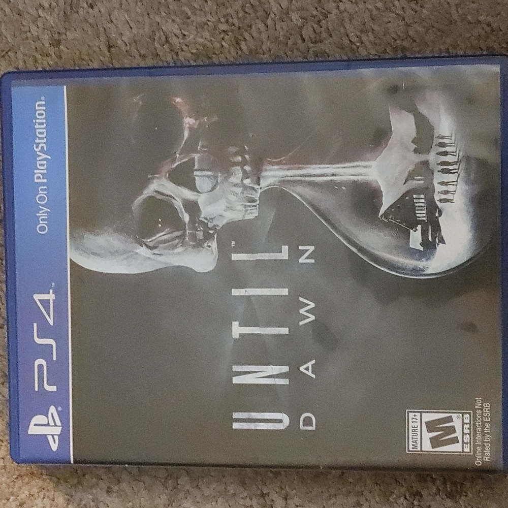 PS4 game until dawn